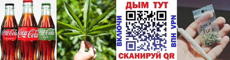 Купить где  Прокопьевск  Cannafood конопля 