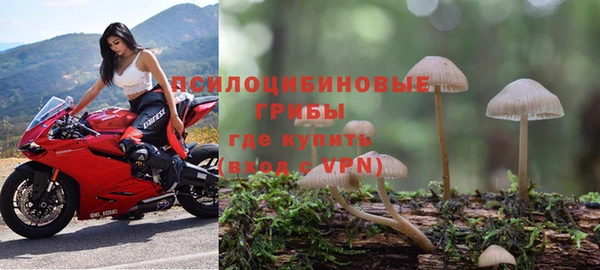 бошки Михайловск