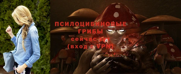 бошки Михайловск