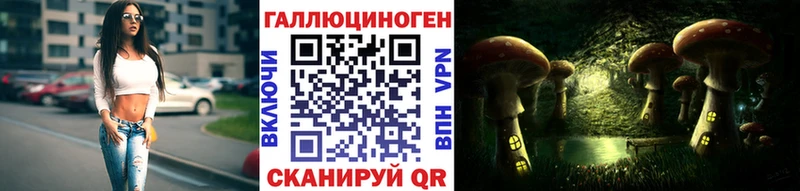 Галлюциногенные грибы Psilocybine cubensis  Купить где  Прокопьевск 